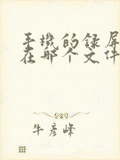 手机的录屏文件在哪个文件夹