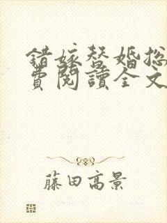 错嫁替婚总裁免费阅读全文