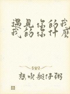 遇见你的我碰到我的你什么歌名