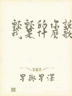 轻轻的你说的爱我是什么歌