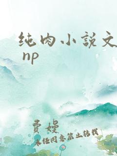 纯肉小说文高h np