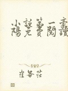 小说第一豪婿林阳免费阅读