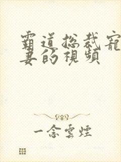 霸道总裁宠小娇妻的视频