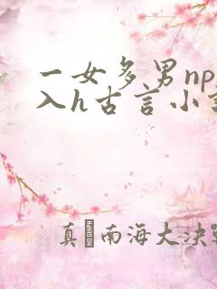 一女多男np慎入h古言小说
