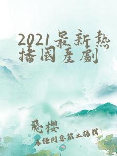2021最新热播国产剧
