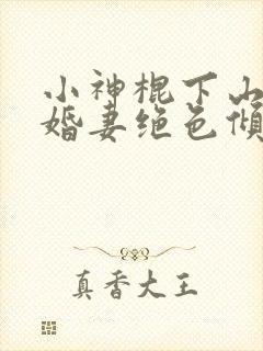 小神棍下山,未婚妻绝色倾城小说