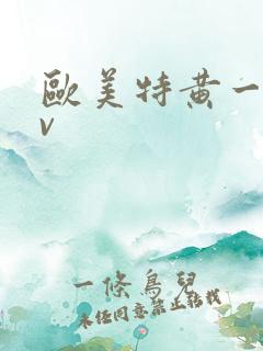欧美特黄一级av