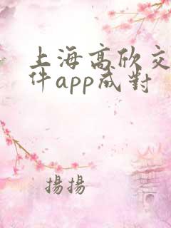 上海高欣交友软件app成对