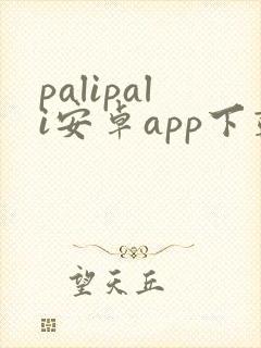 palipali安卓app下载