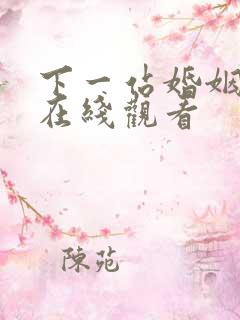 下一站婚姻免费在线观看