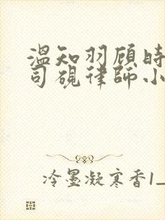 温知羽顾时允霍司砚律师小说第十章