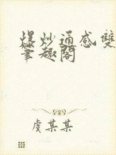 爆炒通感双胞胎笔趣阁