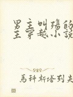 男主叫殇的,女主穿越小说