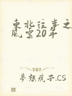 东北往事之黑道风云20年