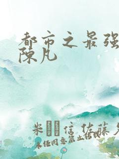 都市之最强仙尊陈凡