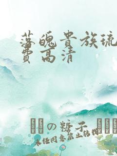 落魄贵族琉璃免费高清