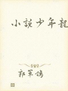 小说少年龙剑飞