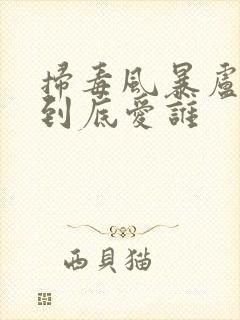 扫毒风暴卢少骅到底爱谁