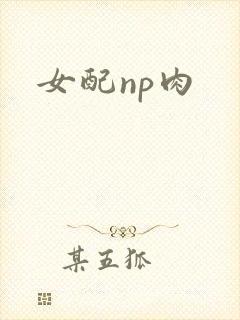 女配np肉