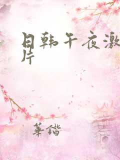 日韩午夜激情毛片
