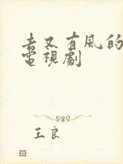 去又有风的地方电视剧