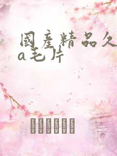 国产精品久久久a毛片