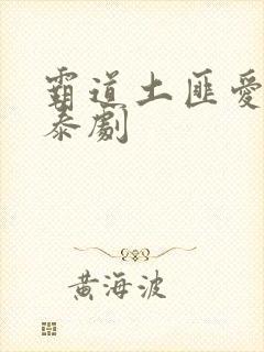 霸道土匪爱上我泰剧