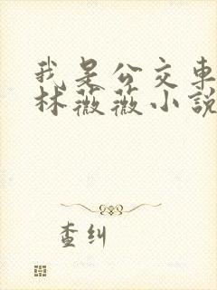 我是公交车主角林薇薇小说免费阅读