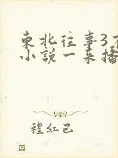 东北往事3有声小说一来播讲