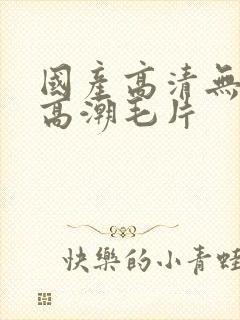 国产高清无遮挡高潮毛片