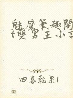 魅魔笔趣阁txt双男主小说