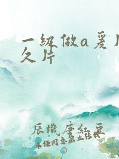 一级做a爰片久久片