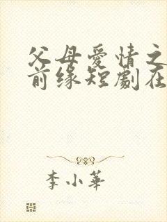 父母爱情之再续前缘短剧在线