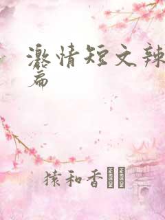 激情短文辣文两篇