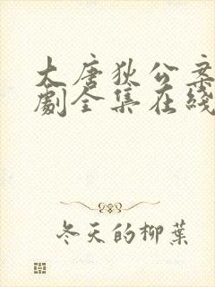 大唐狄公案电视剧全集在线看