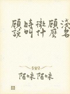 顾时微顾浅浅小说叫什么名字