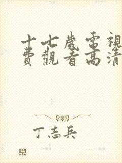 十七岁电视剧免费观看高清