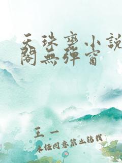 天珠变小说笔趣阁无弹窗