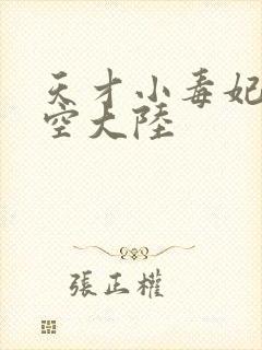 天才小毒妃二玄空大陆