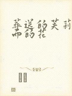 葬送的芙莉莲里面的花