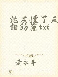 炮灰怀了反派丞相的崽txt