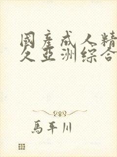 国产成人精品久久亚洲综合