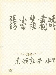 张小斐黄晓明演的电视剧叫什么名字