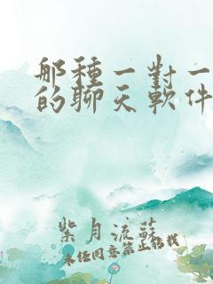 那种一对一视频的聊天软件