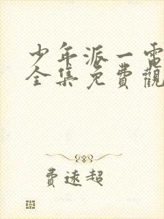 少年派一电视剧全集免费观看