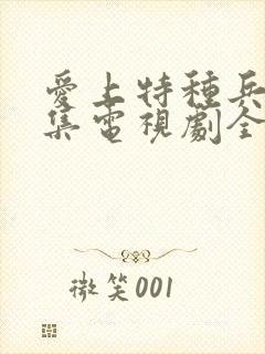 爱上特种兵40集电视剧全集免费