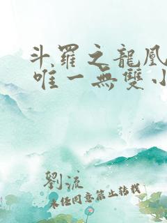 斗罗之龙凰传说 唯一无双小说