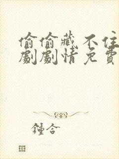 偷偷藏不住电视剧剧情免费观看