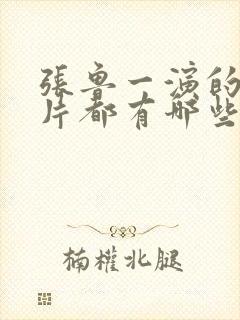 张鲁一演的谍战片都有哪些