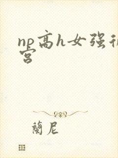 np高h女强后宫
